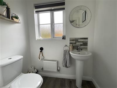 Picture 11